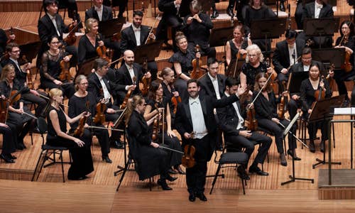 Meet the Musicians