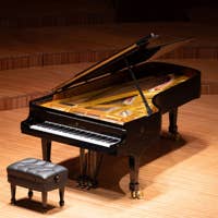 Theme and Variations